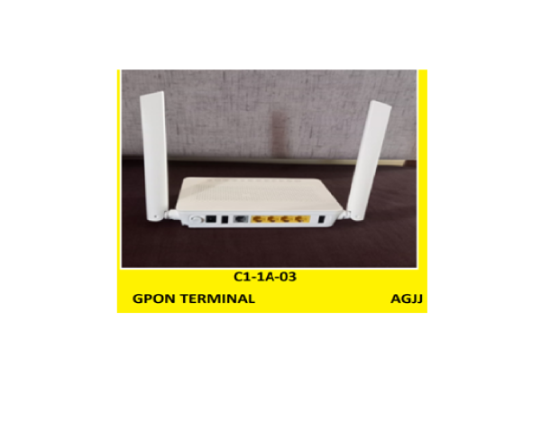 GPON terminal (H88546V5)