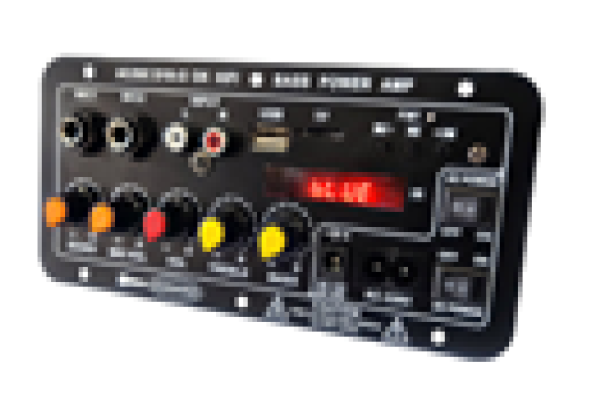 Bluetooth radio, USB, TF, dual MIC inputs, remote control