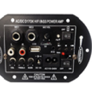 Bluetooth Radio, USB, TF, Remote Control , Dual MIC