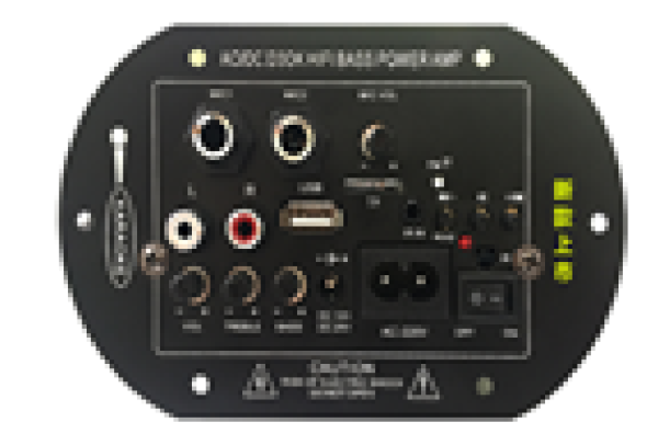 Bluetooth radio, USB, TF, dual MIC inputs, remote control