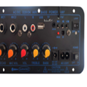 Bluetooth radio, USB, TF, dual MIC inputs, remote control