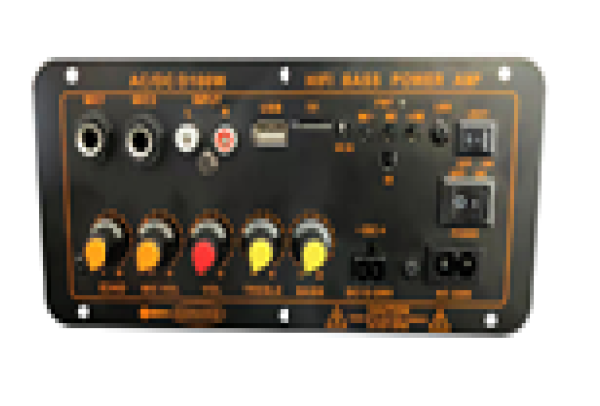 Bluetooth radio, USB, TF, dual MIC inputs, remote control